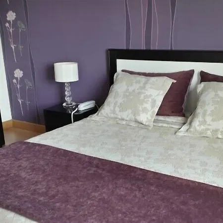 Caldas Internacional Hotel 3*